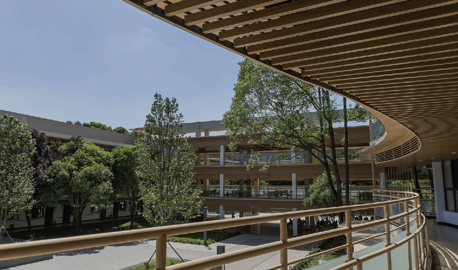 中京爱侬观察:在成都寻找带园艺疗法的养老院,一份给家属的深度笔记