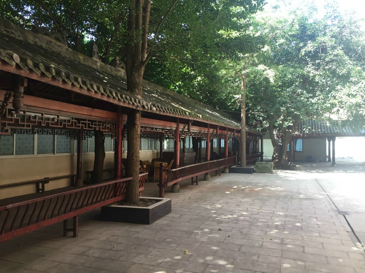 成都长青树养老服务中心实景图4