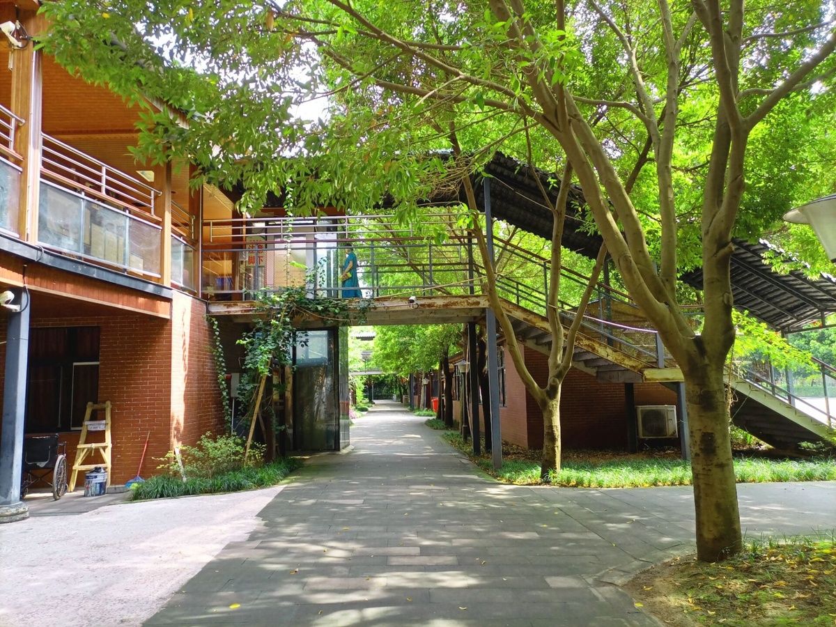 成都纯德养老中心实景图6