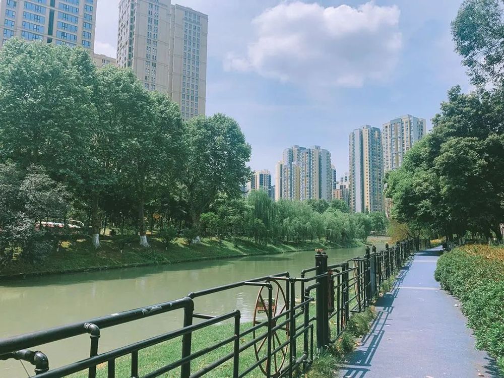 成都龙湖椿山万树梵城老年公寓(龙湖·滨江天街店)实景图3