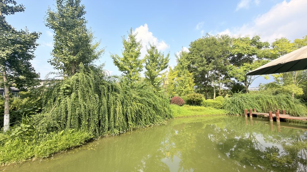 中铁·春台悦实景图44