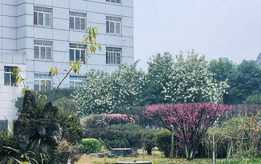成都爱慈莲养老院实景图