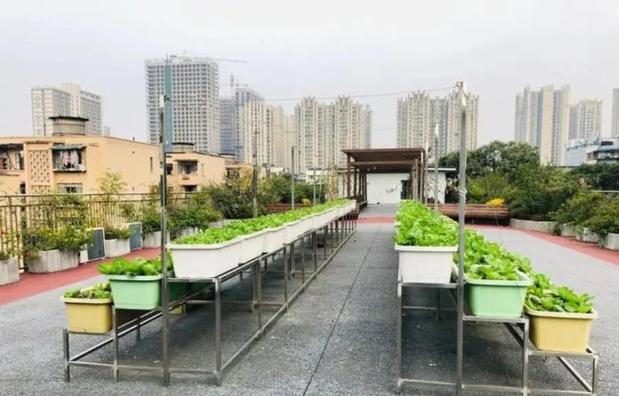 成都成华区宏明怡倍康养老中心实景图