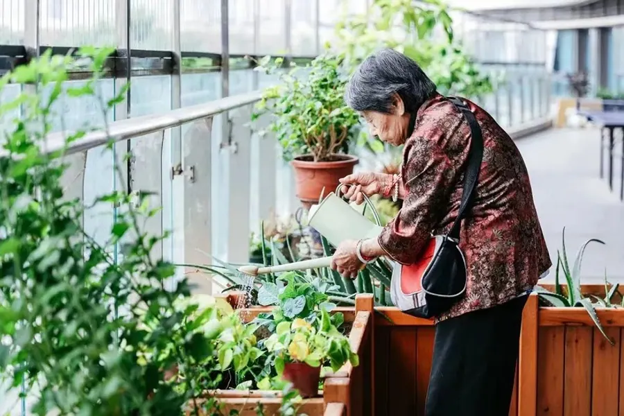 成都龙湖椿山万树梵城老年公寓(龙湖·滨江天街店)养老服务设施实拍